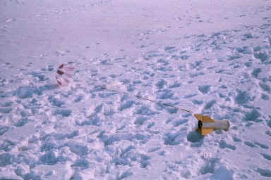 The Big Daddy on the snow