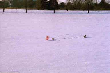 The Fat Boy on the snow